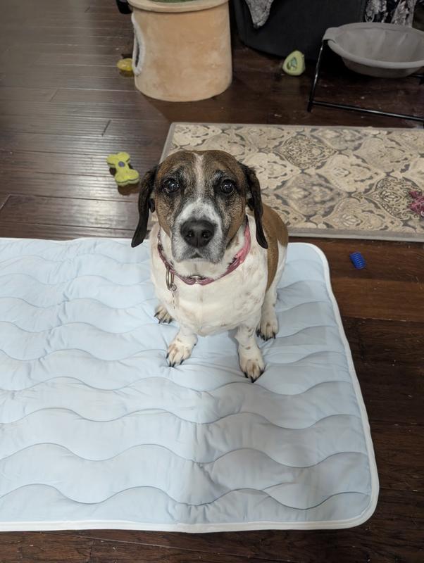 Sadie uses size L