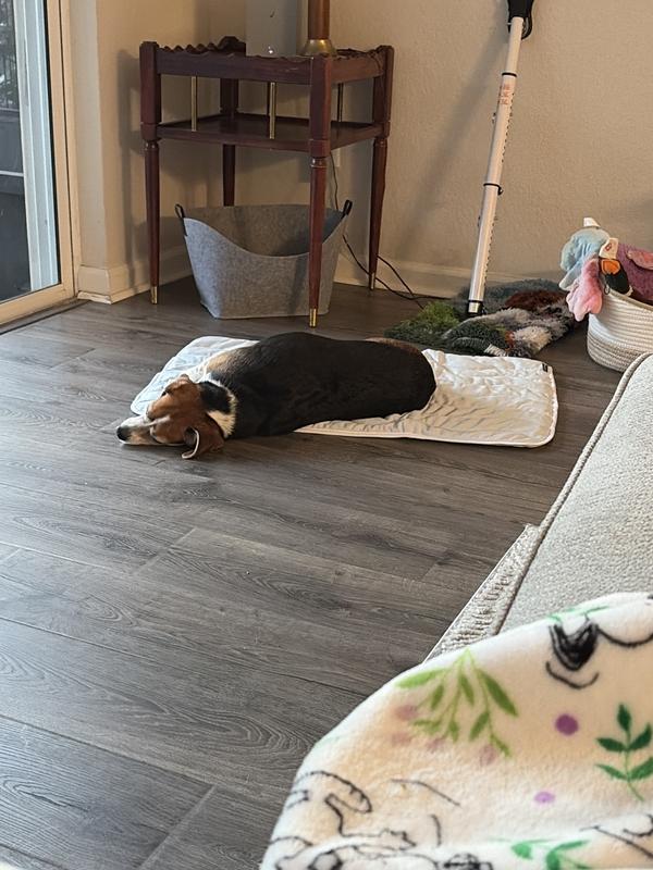 Bailey uses size L