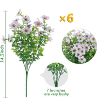 White(Set of 6)