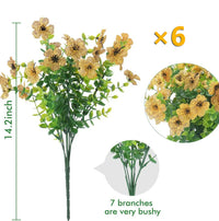 Yellow(Set of 6)
